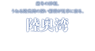 厳冬の津軽。うねる陸奥湾の深い紺碧が見事に宿る。〜陸奥湾〜 Mutsu-Bay